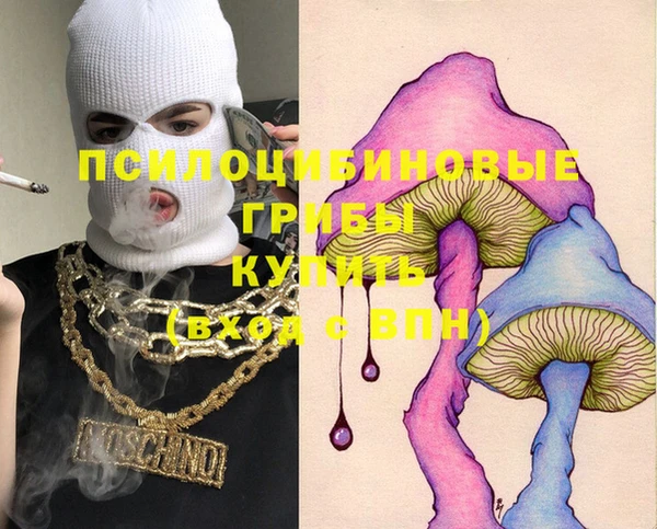 ГАЛЛЮЦИНОГЕННЫЕ ГРИБЫ Щигры