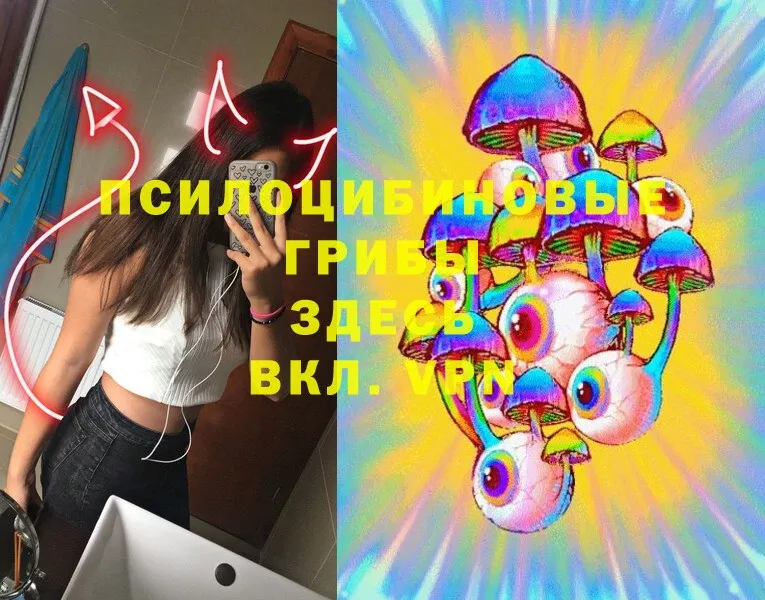 shop как зайти  наркошоп  Ак-Довурак  Галлюциногенные грибы прущие грибы 