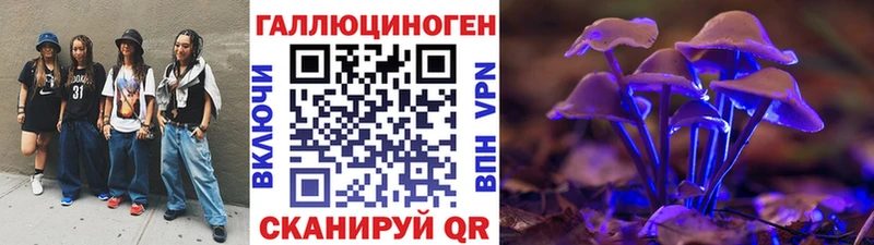 Псилоцибиновые грибы Psilocybe цена Ак-Довурак