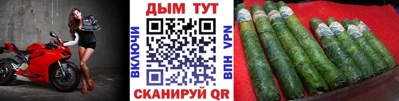 блэк спрут зеркало Ак-Довурак Канабис White Widow